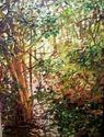 Forest%2C%20Summer%20Haze (thumbnail)
