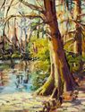 March%20Pond%20Morning (thumbnail)