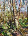 Congaree%20Afternoon (thumbnail)