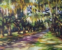 Boone%20Hall%20Oaks (thumbnail)