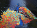 Peacocks (thumbnail)