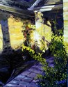 Afternoon%20Brilliance (thumbnail)
