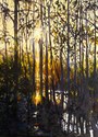 Wetlands%20Cathedral (thumbnail)