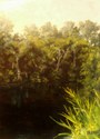 Black%20Water%2C%20Ashley%20River (thumbnail)