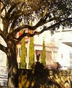 Cypresses%2C%20St.%20Michaels%20Alley (thumbnail)