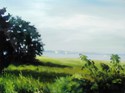 View%20from%20Lowndes%20Grove (thumbnail)