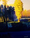 Morning%20in%20Blues%20and%20Gold (thumbnail)