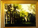 Morning%20Brilliance (thumbnail)