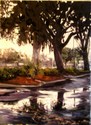 Orangegrove%20Plaza%20after%20the%20Rain (thumbnail)