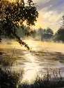 Morning%20Mist%2C%20Ashley%20River (thumbnail)