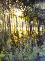 Wetlands%20Cathedral%20II (thumbnail)