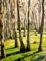 Magnolia%20Swamp%20Garden (thumbnail)