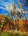 Autumn%20Light%20in%20the%20Lowcountry (thumbnail)