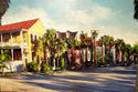 Morning%20Warmth%2C%20Charleston (thumbnail)