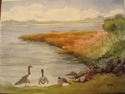 Painting--Watercolor-LandscapeFeathered Friends
