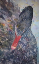 Painting--Watercolor-AnimalsBlack Swan
