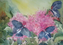 Painting--Watercolor-WildlifeButterflies I