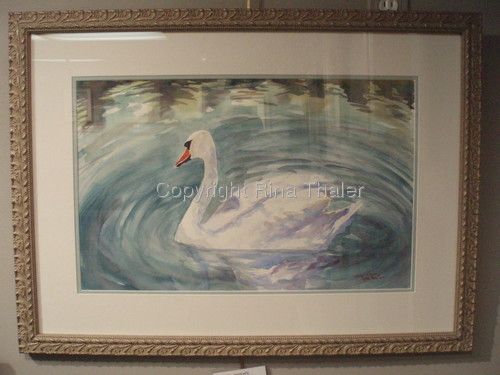 Painting-Wildlife-graceful swan