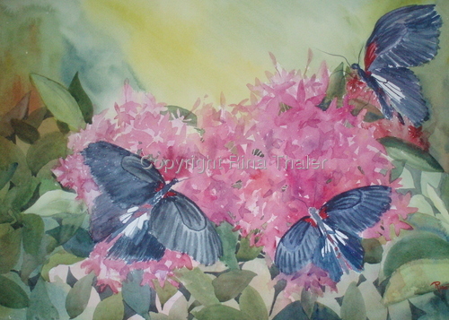 Painting-Wildlife-Butterflies I