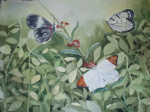 Print Making-butterflies II