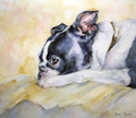 Gracie (thumbnail)