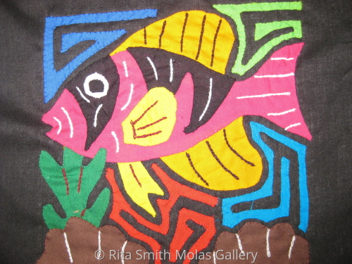 Fish%20Molita%20Kunas%20San%20Blas%20Panama%20%23828 (large view)