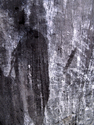Abstracts