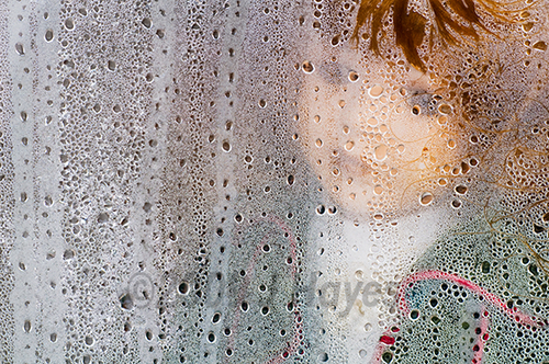 Photography-Abstract-Dolly