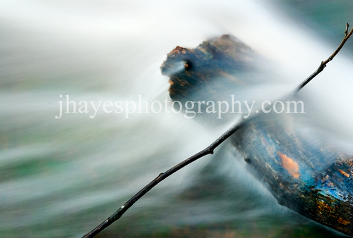 Photography-Landscape-Log in the Mist