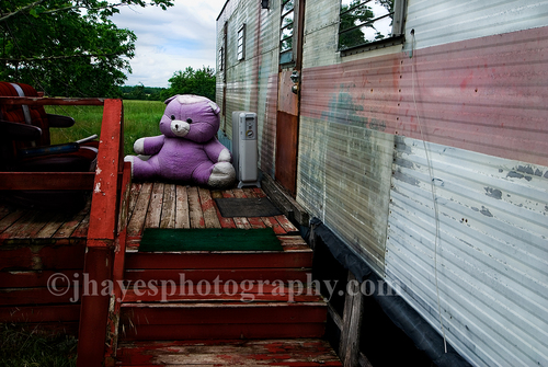 Photography-Technicolor Teddy