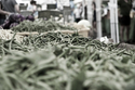 Vegtables%20at%20market (thumbnail)