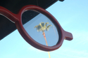 Eye%20See (thumbnail)