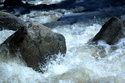 Colorado%20Waterfall (thumbnail)