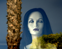 Ventura%20Blvd%20Reflections (thumbnail)