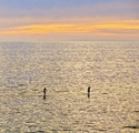 Laguna%20Surf%20Paddlers (thumbnail)
