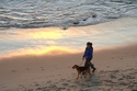 Dog%20walking%20sunset (thumbnail)