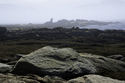 Foggy%20Newfoundland%20Coast (thumbnail)