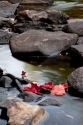 Red%20leaves%20in%20river (thumbnail)
