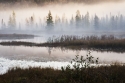 Algonquin%20Foggy%20Morning (thumbnail)
