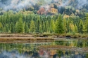 Morning%20Mist%20over%20Lake (thumbnail)