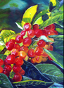 Cherries (thumbnail)