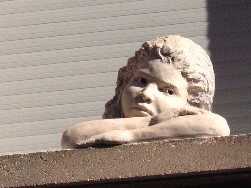 The%20quiet%20watcher (large view)