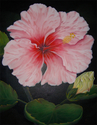 Hibiscus For Queen Emma