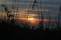 Photography--Digital-NightSunset in flordia