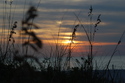Photography--Digital-LandscapeFlordia sunset #2