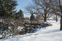 Photography--Color-LandscapeGreenfielld park in winter