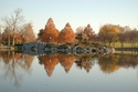 Photography--Digital-LandscapeReflections in the park