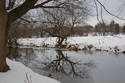 Photography--Digital-NatureStream along park