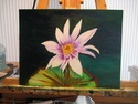 Painting--Acrylic-FloralWater Lily