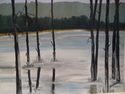 Painting--Oil-LandscapePeace full calm